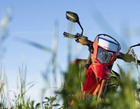 Veja quais as vantagens de Leilão de Motos por aplicativos