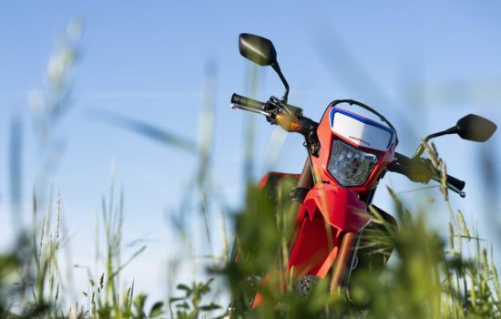 Veja quais as vantagens de Leilão de Motos por aplicativos